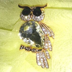 Owl Brooch